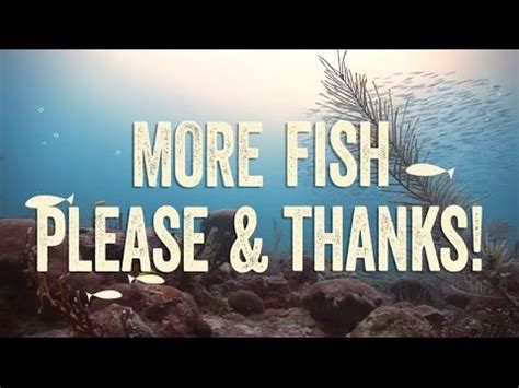 more fish please| Fish Please .